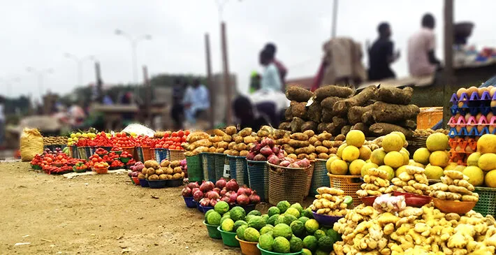 Experts urge policy shift as Ghana targets food self-sufficiency and global competitiveness