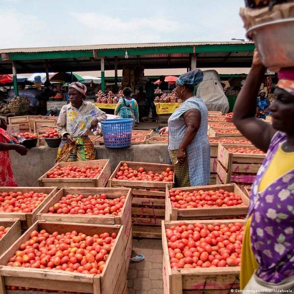 The 45% Tomato crisis and the indigenous brand fighting to secure Ghana’s value chain